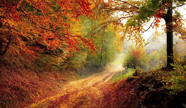 Nejlepší citáty na podzim – Inspirujte se krásnými podzimními citáty