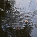 Podraz na Každém Kroku: Citáty, které Vás Varují