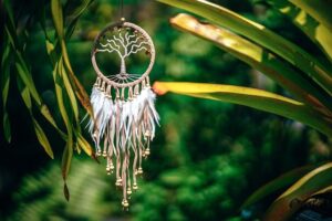 Zahrada Snů: Citáty, které Vás Inspirují