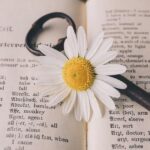 Citáty o spravodlivosti: Moudrá slova, která vám otevřou oči