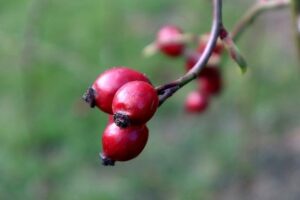 Citát podzim: Krásná slova oslavující barevné roční období