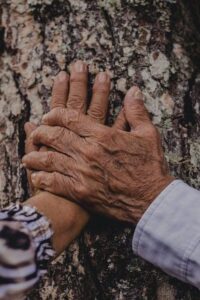Romantické citáty o koních láska pro zamilované 5 Romantické citáty o koních láska pro zamilované