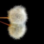 Citáty o smutku a slzách: Dojemná slova, která vám vyžerou srdce