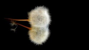 Citáty o smutku a slzách: Dojemná slova, která vám vyžerou srdce