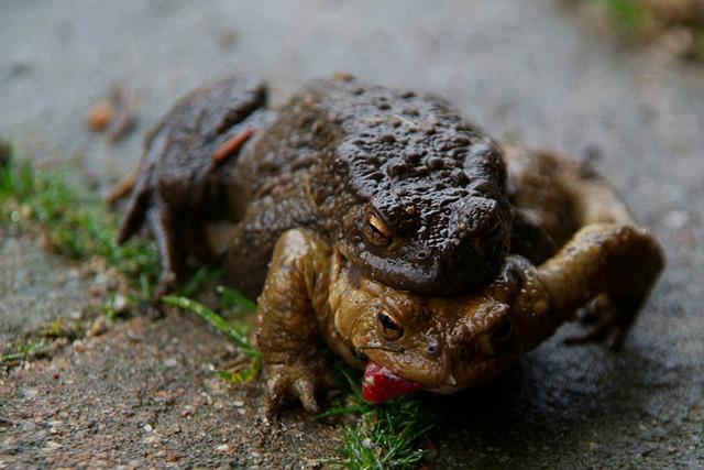 Rozhodující zprávy, které vám pomohou překonat smutek