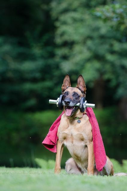 Tipy a triky pro perfektní úpravu profilové fotky